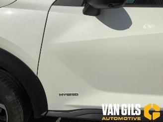 Nissan Juke Juke (F16), SUV, 2019 1.6 Hybrid 16V picture 6