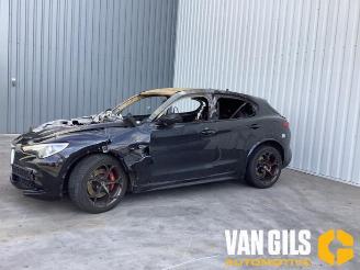 Purkuautot passenger cars Alfa Romeo Stelvio Stelvio (949), SUV, 2017 2.9 Bi-Turbo V6 24V Q4 2020/9
