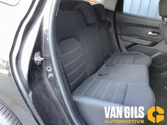 Dacia Duster Duster (SR), SUV, 2017 / 2024 1.5 dCi 109 picture 11