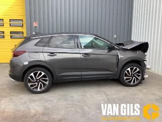 škoda osobní automobily Opel Grandland Grandland (X), SUV, 2017 1.2 Turbo 12V 2019/3