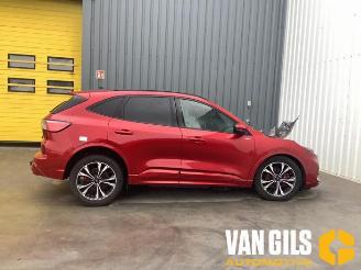 krockskadad bil auto Ford Kuga Kuga III (DFK), SUV, 2019 2.5 PHEV 16V 2020/5
