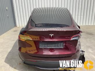 Tesla Model Y Model Y (5YJY), SUV, 2019 / 2025 Long Range RWD picture 6