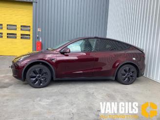 Auto da rottamare Tesla Model Y Model Y (5YJY), SUV, 2019 / 2025 Long Range RWD 2024/12
