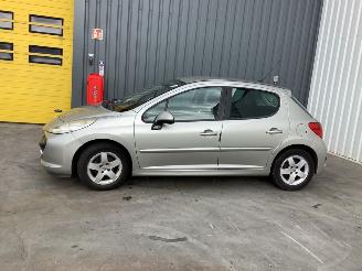 Avarii autoturisme Peugeot 207/207+ 1.4 Benzine 2007/6