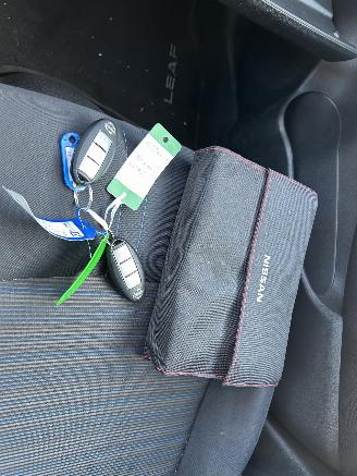 Nissan Leaf  picture 20