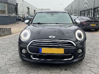 Mini One One Salt Business picture 2