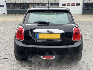 Mini One One Salt Business picture 5