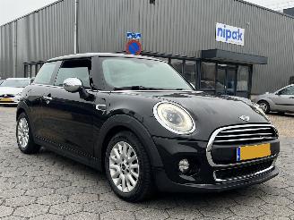 Mini One One Salt Business picture 3