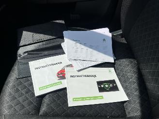 Skoda Rapid Spaceback 1.2 TSI Greentech Drive picture 19