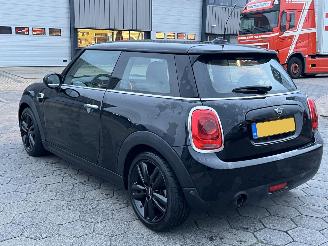 Mini One 1.5 One Salt picture 6