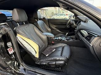 BMW 2-serie Cabrio 220i Centennial High Executive picture 15