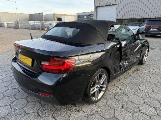 BMW 2-serie Cabrio 220i Centennial High Executive picture 4