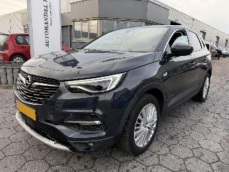 uszkodzony samochody osobowe Opel Grandland X 1.2 Turbo Business Executive 2019/9