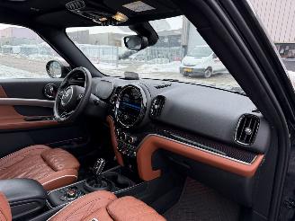 Mini Countryman JCW ALL4 306PK 2.0 John Cooper Chili picture 19