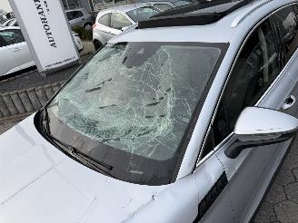 Skoda Enyaq iV 80 Business Edition Plus picture 8