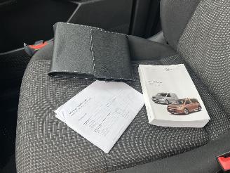 Volkswagen  Cargo 2.0 TDI Economy Business picture 19