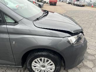 Volkswagen  Cargo 2.0 TDI Economy Business picture 11