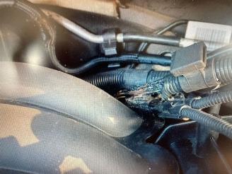 BMW 3-serie Touring 318i Business Line picture 22