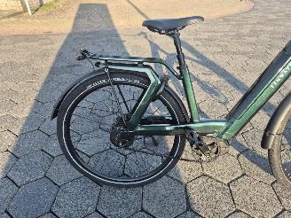 Stella  Tenway Ago T picture 4