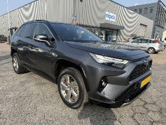 Toyota Rav-4 2.5 Hybrid AWD Style pano picture 3