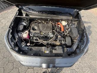 Toyota Rav-4 2.5 Hybrid AWD Style pano picture 8