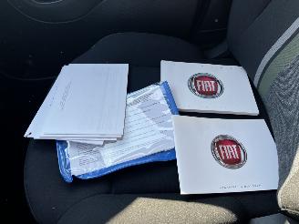 Fiat Panda 1.0 Hybrid City Cross picture 19