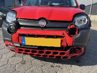 Fiat Panda 1.0 Hybrid City Cross picture 11