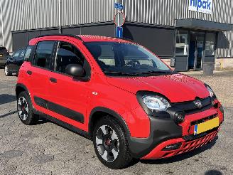 Fiat Panda 1.0 Hybrid City Cross picture 3