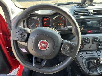 Fiat Panda 1.0 Hybrid City Cross picture 16