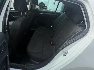 Volkswagen e-Golf 35,8 kWh E-golf picture 9