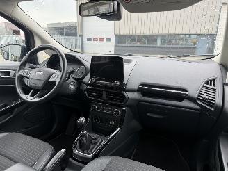 Ford EcoSport 1.0 EcoBoost Titanium picture 12