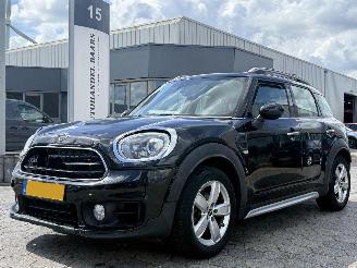 Coche accidentado Mini Countryman 1.5 Cooper Dutch Made Edition AUTOMAAT 2019/5
