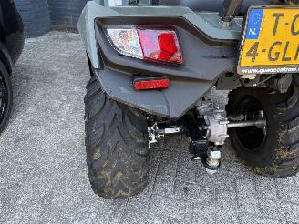 Kymco  QUAD MX4300 picture 11
