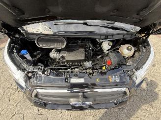 Ford  Dethlefss Globetrail 2.0 L picture 7