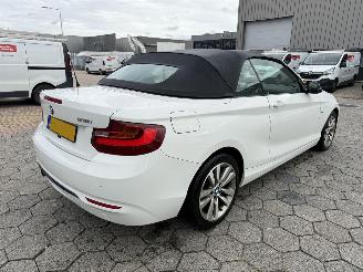 BMW 2-serie Cabrio 218i picture 5