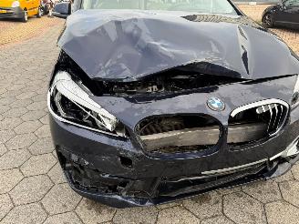 BMW 2-serie Gran Tourer 218i 7persoons High Executive Launch Edition picture 10