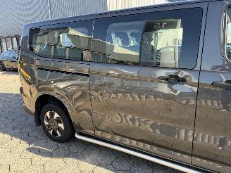 Ford Custom 340 2.5 PHEV L2H1 Trend picture 5