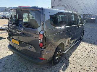 Ford Custom 340 2.5 PHEV L2H1 Trend picture 7