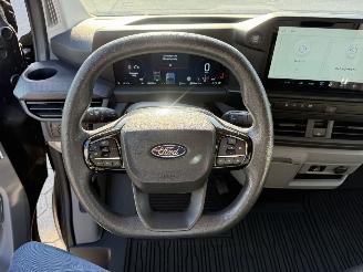Ford Custom 340 2.5 PHEV L2H1 Trend picture 21