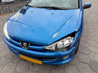 Peugeot 206 1.4 Forever picture 10