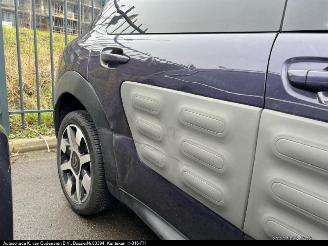 Citroën C4 cactus 1.2i picture 7