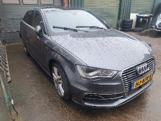 škoda osobní automobily Audi A3 1.4 E-TRON S Line automaat pannodak 2015/11
