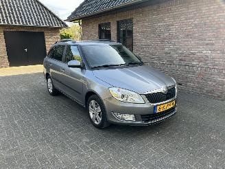 uszkodzony samochody osobowe Skoda Fabia 1.2 TSI FRESH AIRCO 2013/5