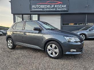 occasion passenger cars Skoda Fabia 1.2 TSI Ambition AUTOMAAT CRUISE PDC 2016/11