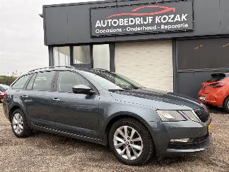Schadeauto Skoda Octavia 1.0 TSI Greentech BusinessEdition 2019/1