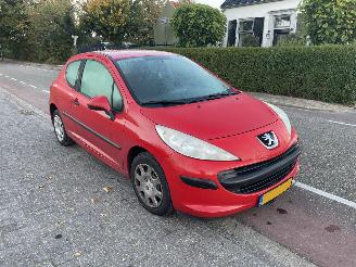 Peugeot 207 1.4-16v picture 1