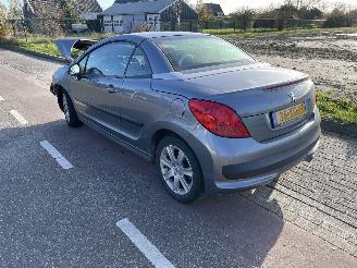 Peugeot 207 1.6-16V picture 4