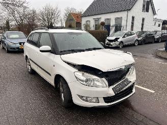 Auto incidentate Skoda Fabia 1.2 TDi Greenline Combi 2011/5