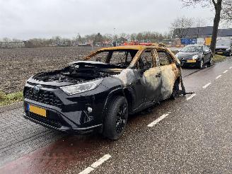 Toyota Rav-4 2.5 Hybrid picture 2