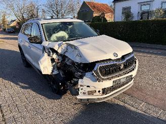 uszkodzony samochody osobowe Skoda Kodiaq 1.5 TSi Business Edition 7P 2022/4